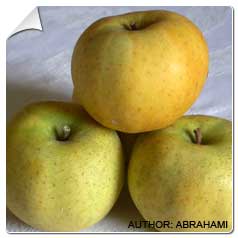 Macieiras rvores frutferas